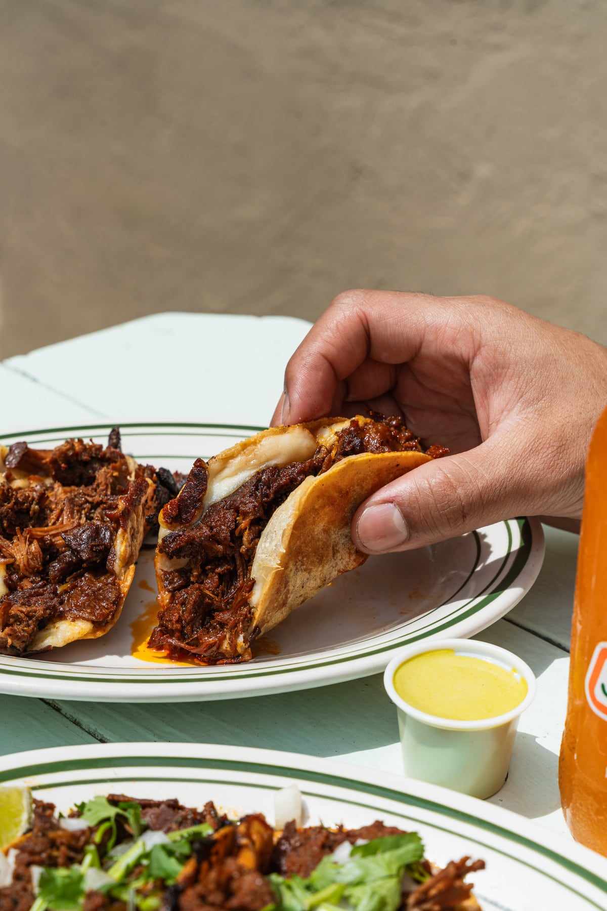 A quesabirria taco held up, melted cheese and birria inside a crisp tortilla, with a cup of green salsa